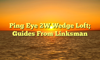 Ping Eye 2W Wedge Loft; Guides From Linksman